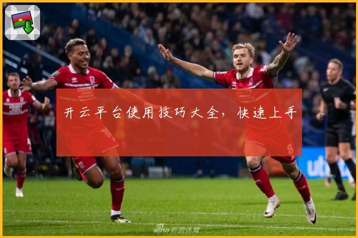 开云平台使用技巧大全，快速上手