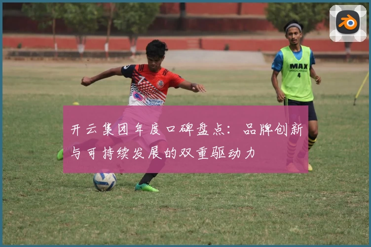 开云集团年度口碑盘点：品牌创新与可持续发展的双重驱动力