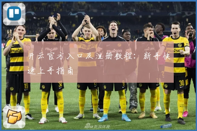 开云官方入口及注册教程：新手快速上手指南